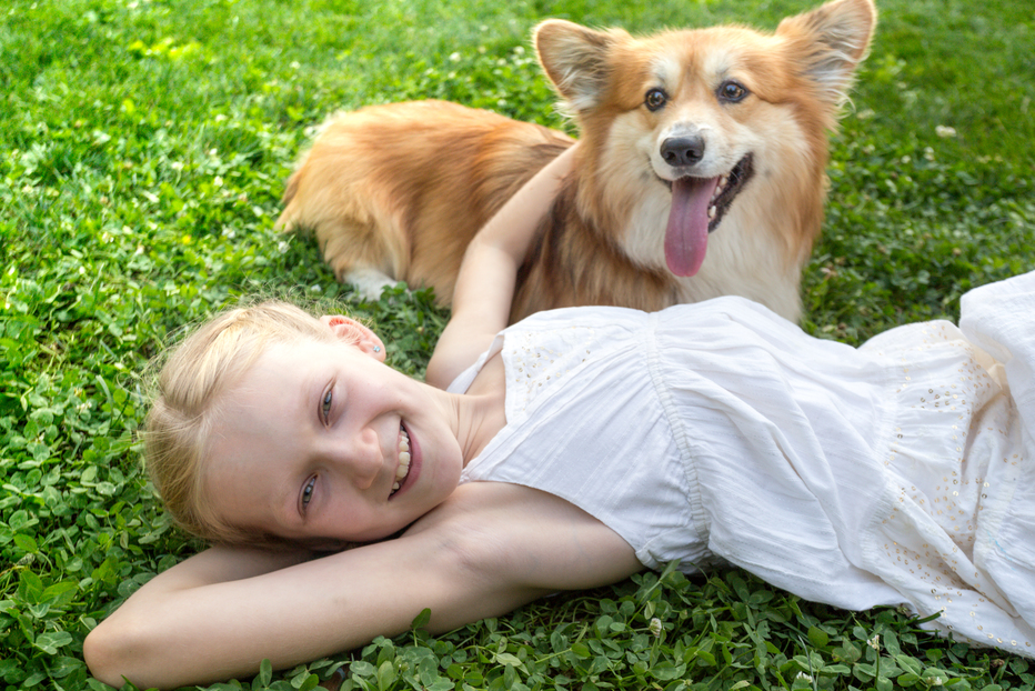 Paraziti u psa a psí nemoci, které mohou být přenosné na člověka. 